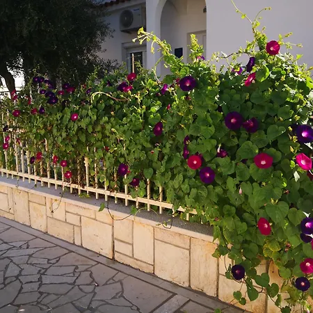 Palace Apartment Porec
