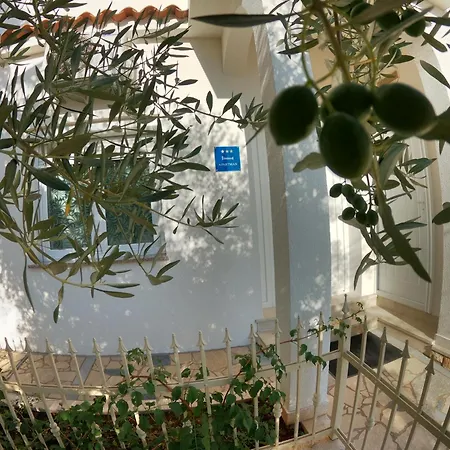 Palace Apartment *