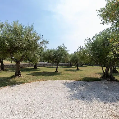 Appartamento Palace New! *