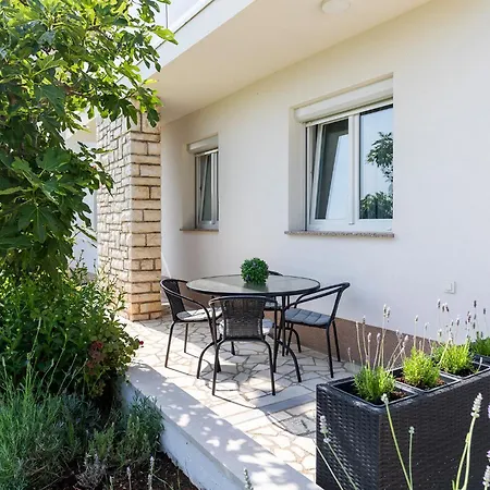 Apartment Palace New! Poreč