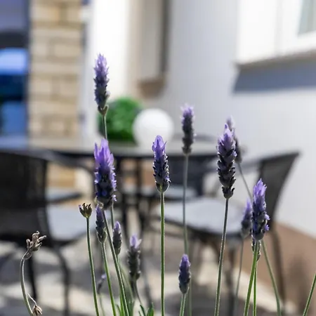 Palace New! Appartamento Porec